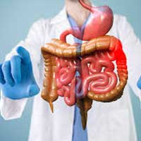 Gastroenterology | Top Class Medical Treatments in Kodoli Warananagar Panhala Tehsil