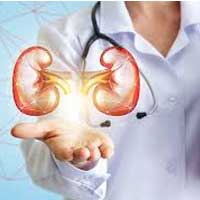Nephrology | Top Class Medical Treatments in Kodoli Warananagar Panhala Tehsil