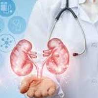 Urology | Top Class Medical Treatments in Kodoli  Warananagar Panhala Tehsil